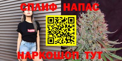 индика Ливны