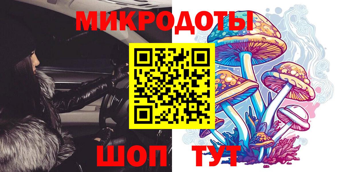 Каменка  Псилоцибиновые грибы мухоморы  Вход с VPN  наркотики  Псилоцибиновые грибы Psilocybe 