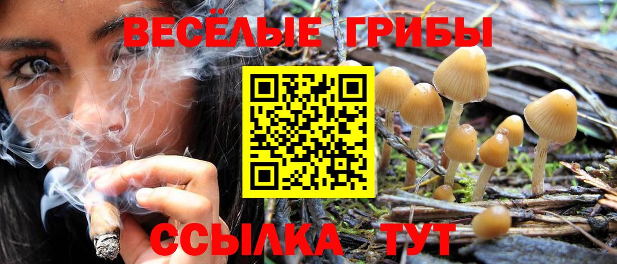 Галлюциногенные грибы ЛСД Каменка